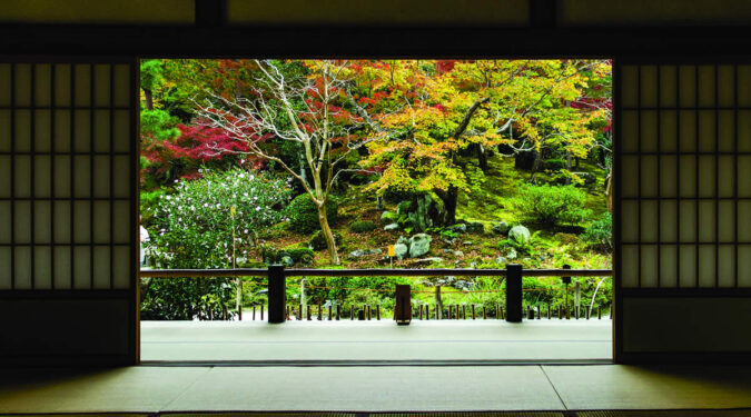 Kolekcija Interface tepihov Embodied Beauty™ – navdihnena z japonskim konceptom „Ikigai“
